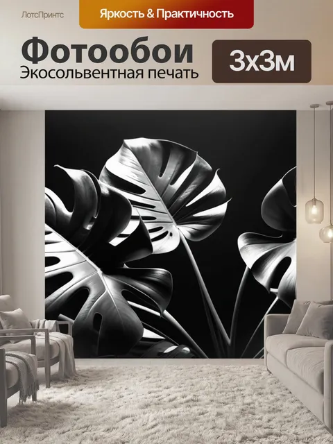 Фотообои с листьями монстеры чернобелый