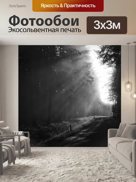 Фотообои солнечные лучи в лесу