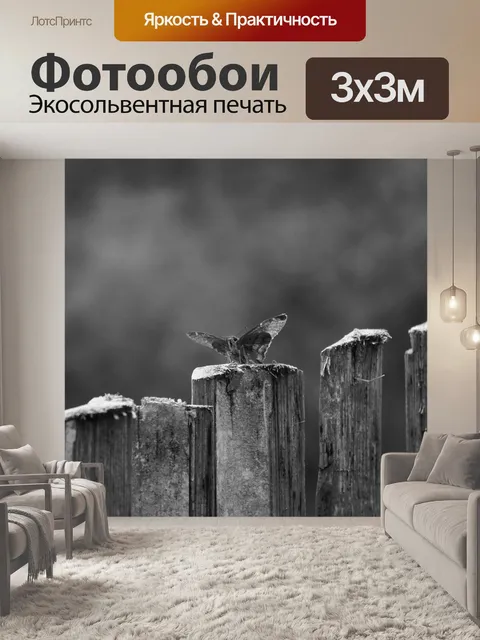 Фотообои Картинки