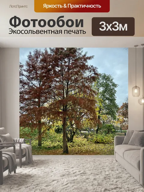 Фотообои Осень