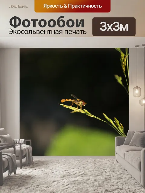 Фотообои Летать