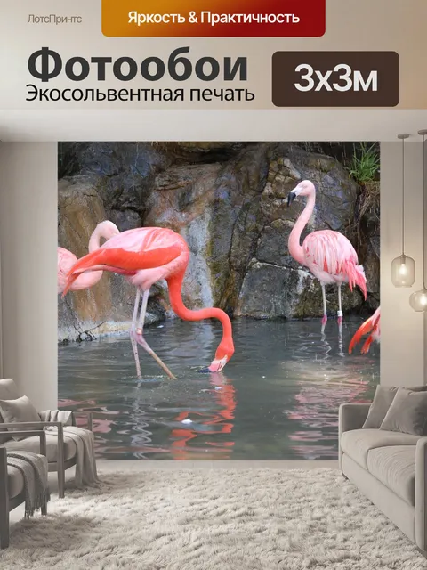 Фотообои Фламинго