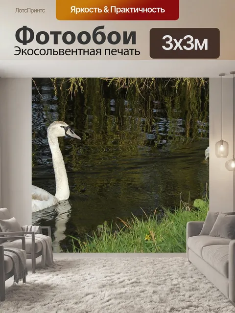Фотообои Природа