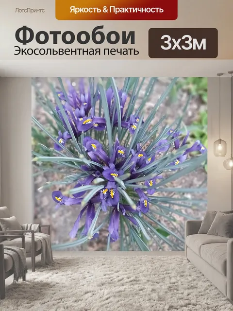 Фотообои Цветы