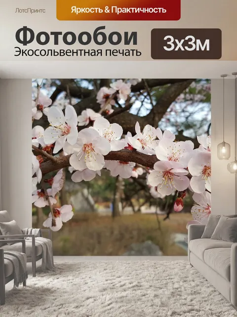 Фотообои Вишня