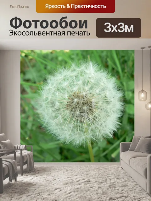 Фотообои Цветок