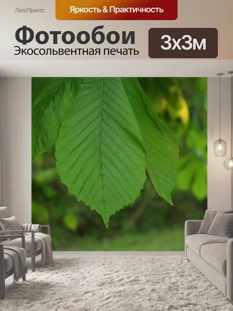 Фотообои Листья