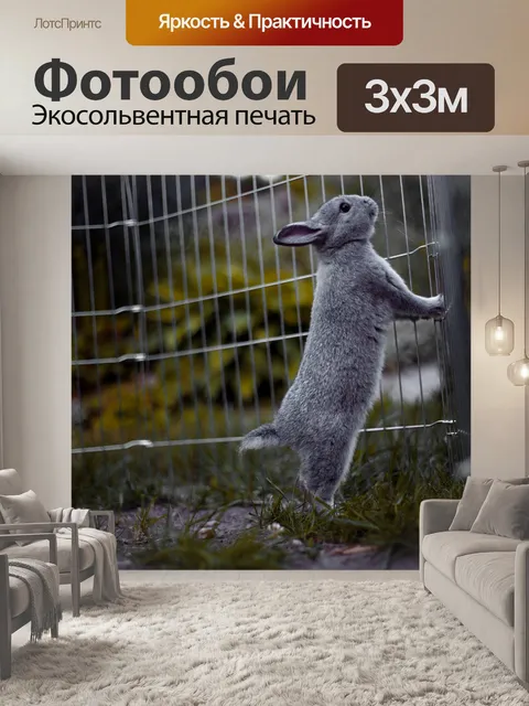 Фотообои Кролик