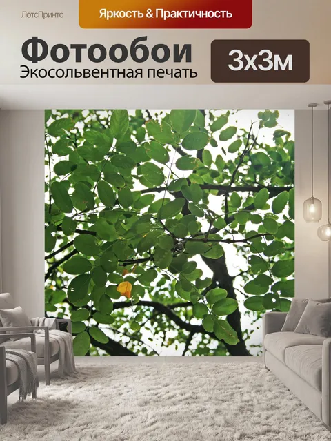 Фотообои Закрыть листья на дереве