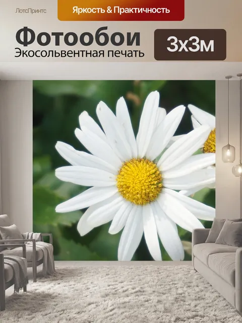 Фотообои Цветы