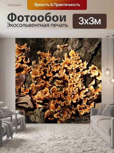 Фотообои Золотые грибы на дереве