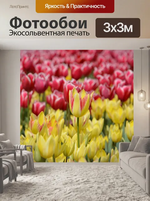 Фотообои Тюльпаны