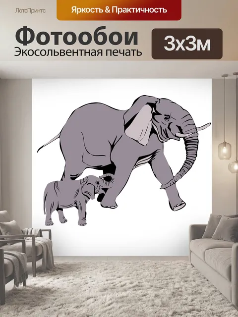 Фотообои Слоны