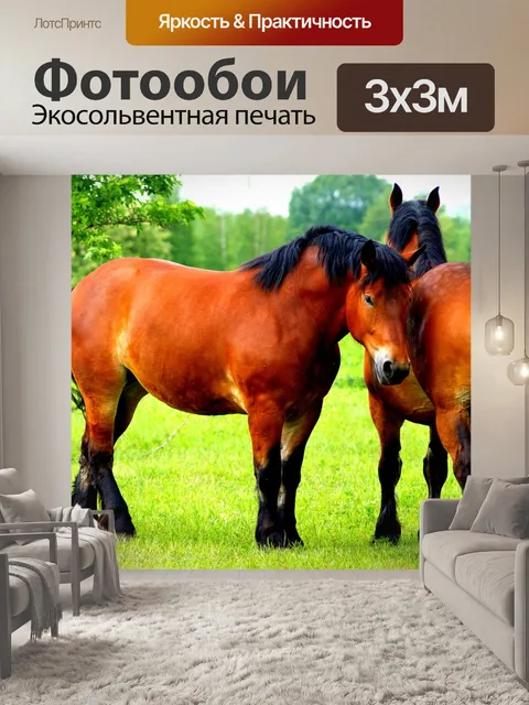 Фотообои Лошадь