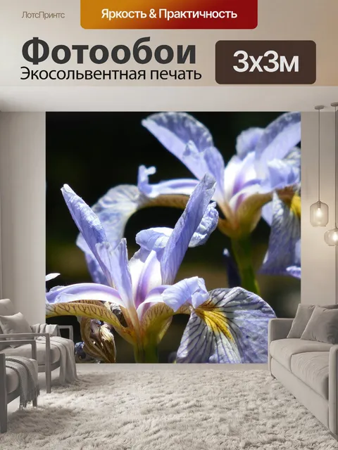 Фотообои Ирис