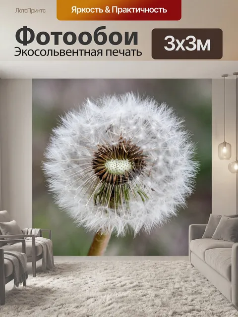 Фотообои Одуванчик