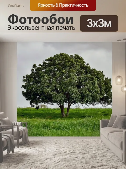 Фотообои Дерево