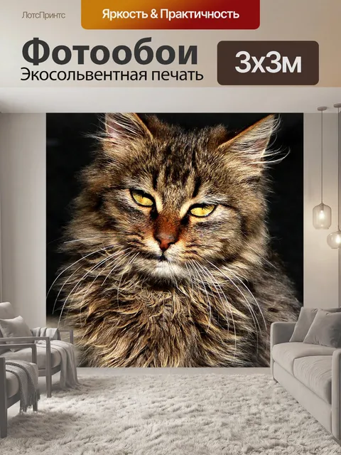 Фотообои Симпатичные