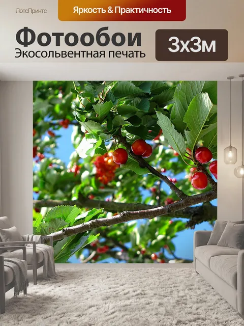 Фотообои Вишня