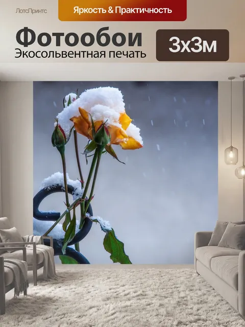Фотообои Роза