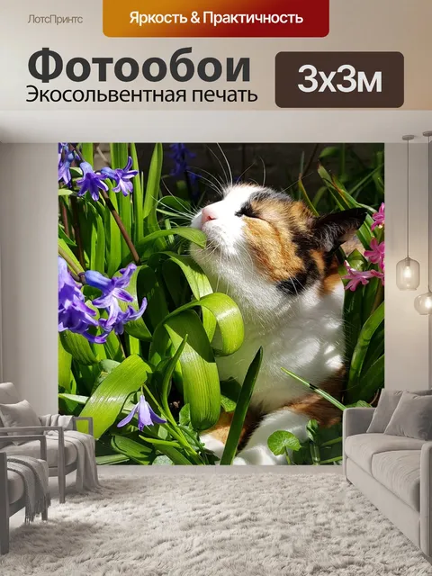 Фотообои Кошки