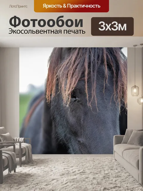 Фотообои Лошадь