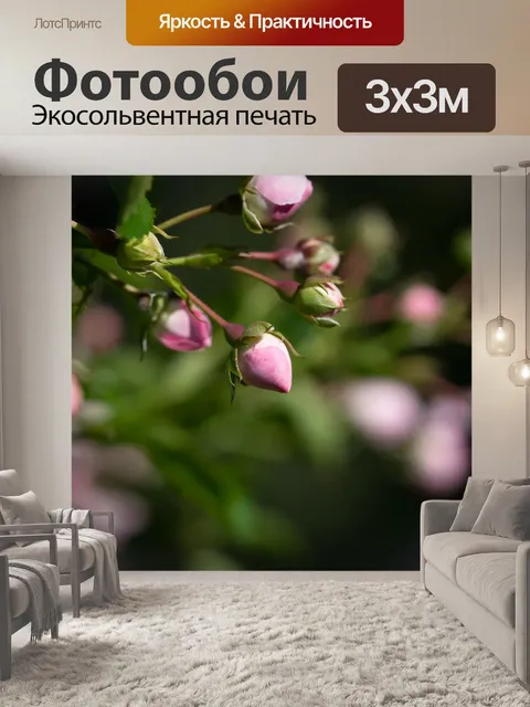 Фотообои Розы