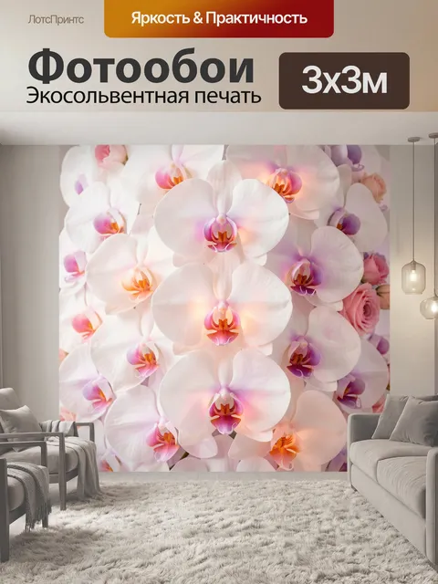 Фотообои Белые орхидеи с розовыми акцентами