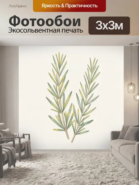 Фотообои Веточки розмарина ботаническая иллюстрация