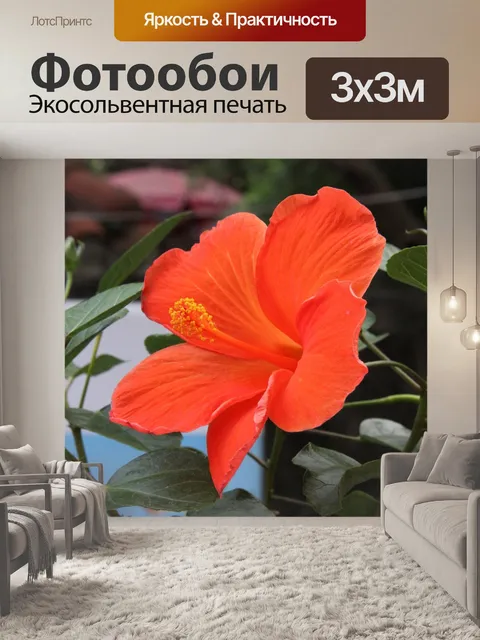Фотообои Цветок