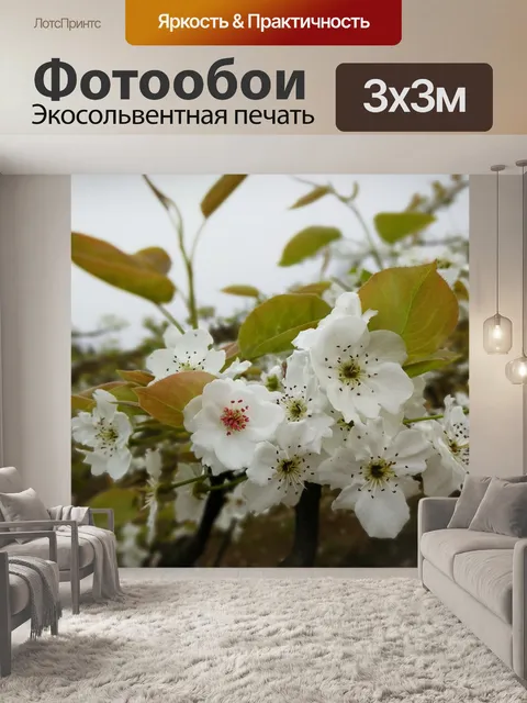 Фотообои Ихва