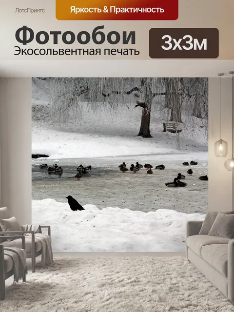 Фотообои Зима Duck Pond