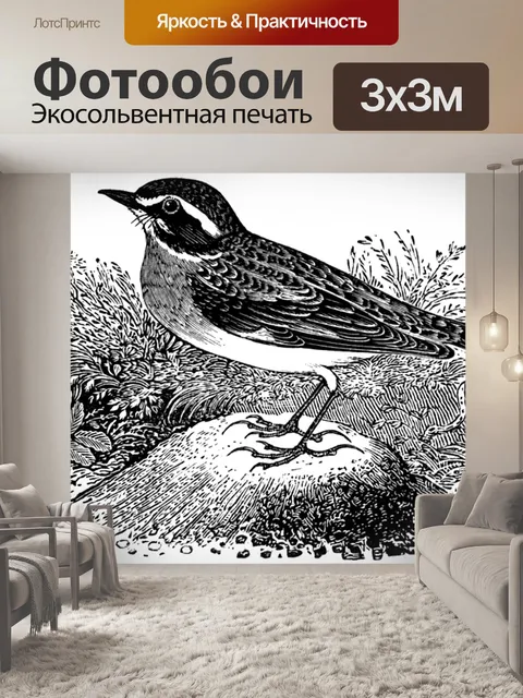 Фотообои Whinchat