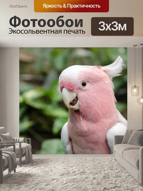 Фотообои Птица