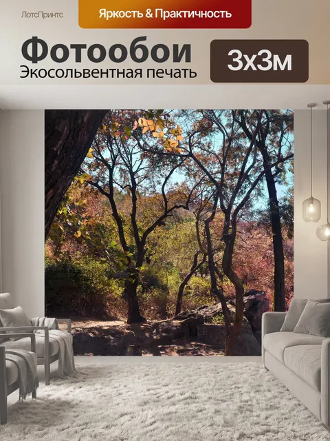 Фотообои Лес 24