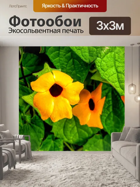 Фотообои Цветы