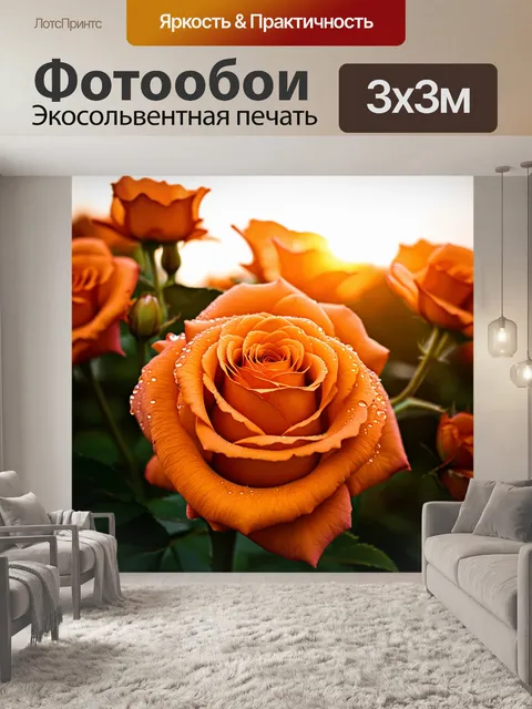 Фотообои оранжевый цвет: оранжевые розы в давшемся восходе солнца