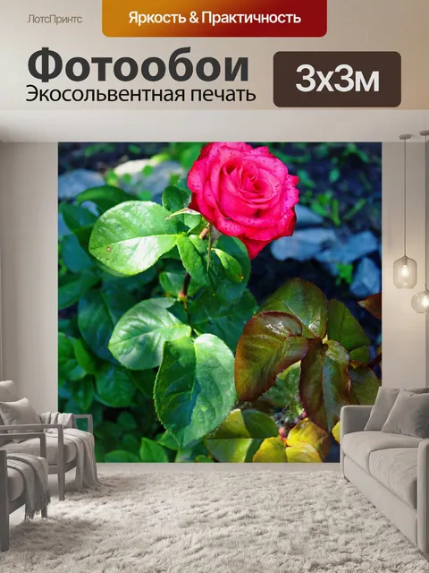 Фотообои Сад