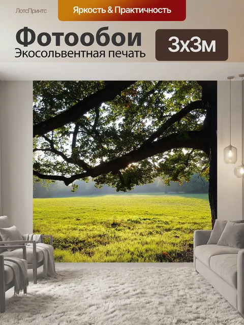 Фотообои Парк