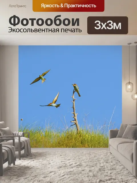 Фотообои Птица
