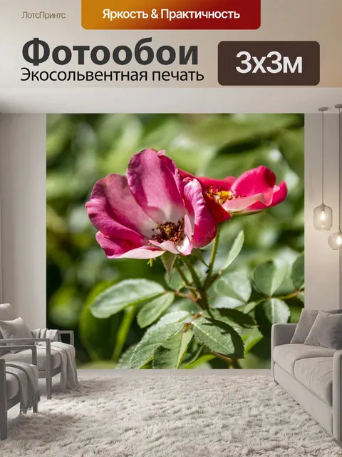 Фотообои сладкие розы