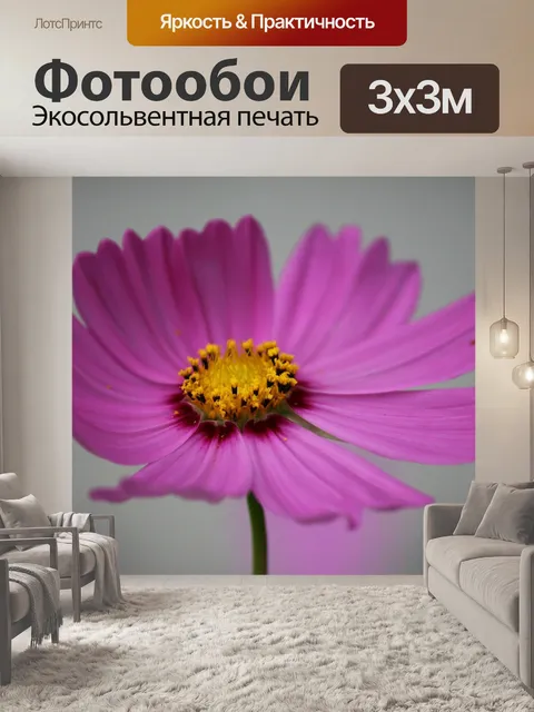 Фотообои Цветок космоса