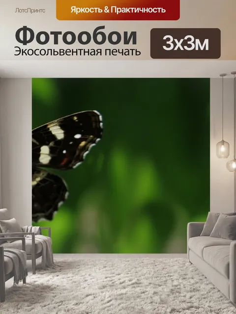Фотообои Карта