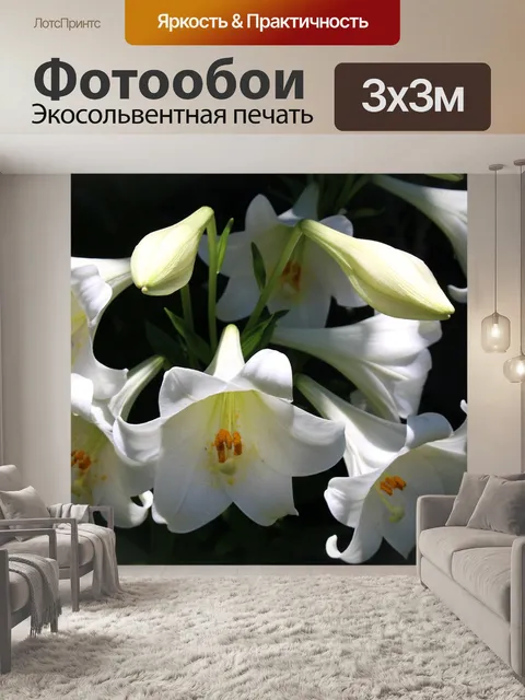 Фотообои Цветы