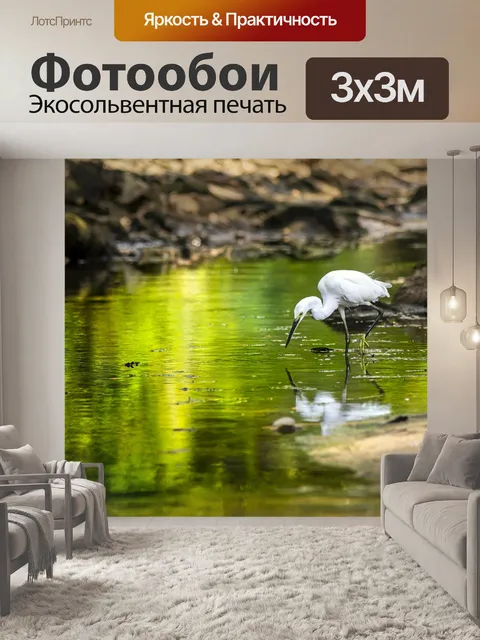 Фотообои Птица