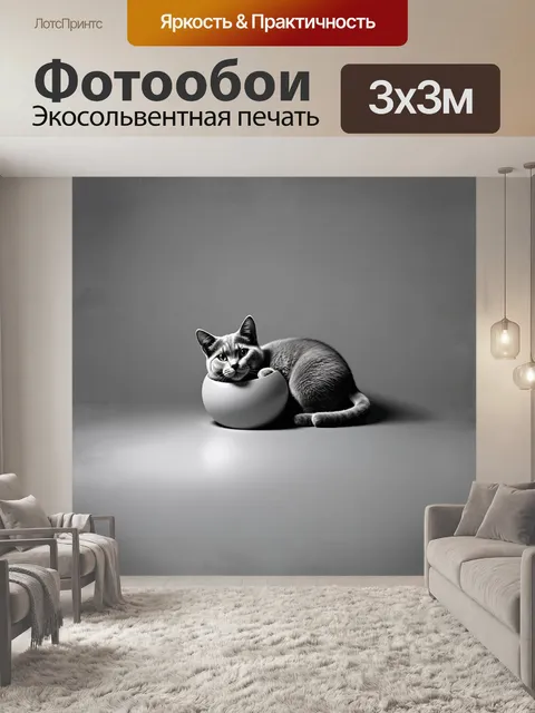 Фотообои минималистическое изображение серой кошки