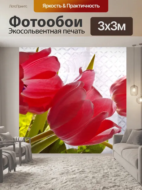 Фотообои Тюльпаны