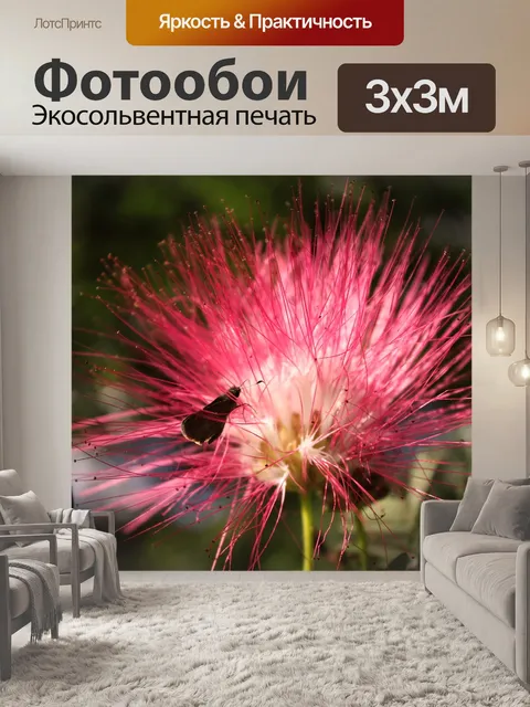 Фотообои Цветок