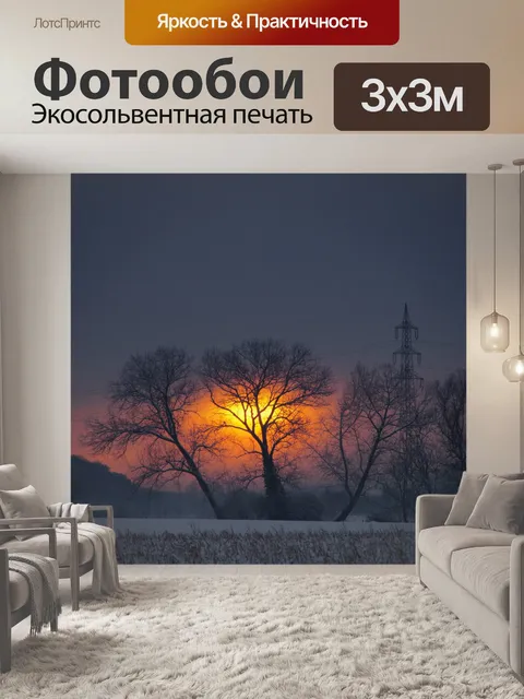 Фотообои Восход солнца деревья поле пейзаж