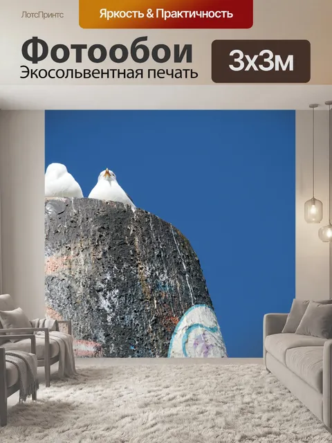 Фотообои Чайка Пара